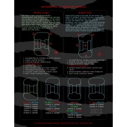 Powell Peralta Dragons Flyer 2