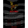 Powell Peralta Dragons Flyer 01