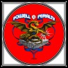 Quadratische Powell Peralta Skate-Flagge aus Stoff mit dem originalen roten Logo-Drachen von 1981 auf schwarzem Untergrund.